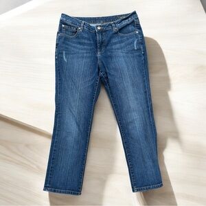 Jag Jeans Women's skinny boyfriend  Blue Denim